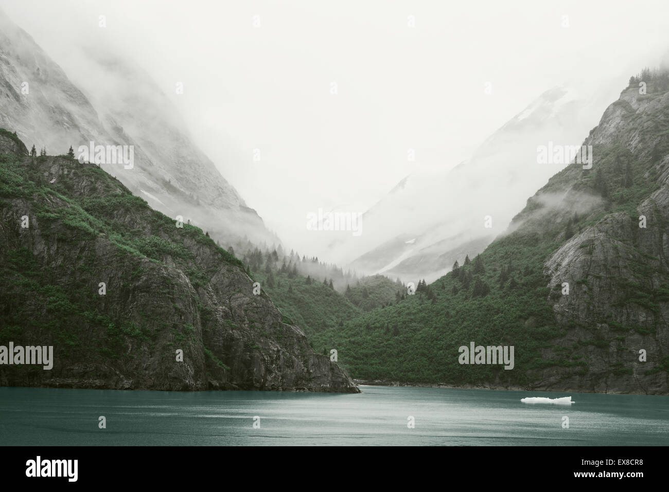 Inside Passage - Tracy Arm landscape, Alaska Stock Photo