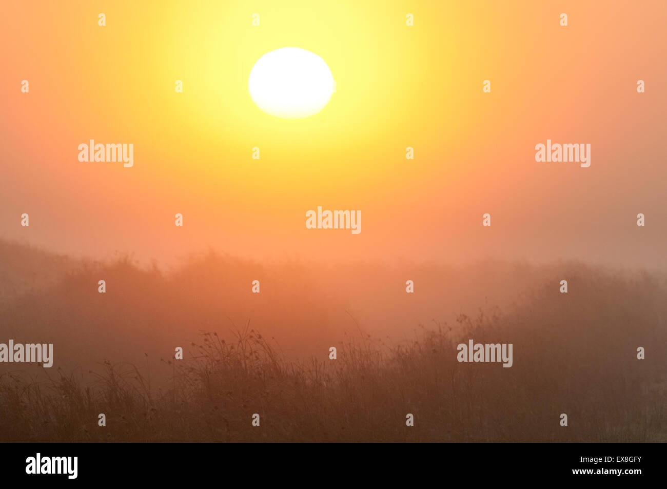 Coastal grazing marsh hi-res stock photography and images - Alamy