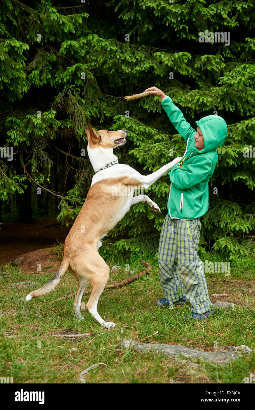 Child with pet stick hires stock photography and images Alamy