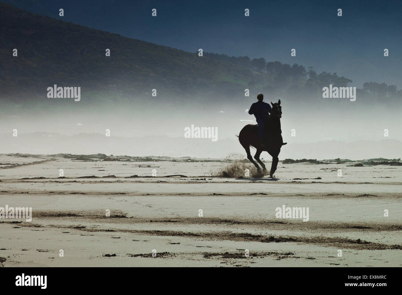 Exercising a horse on Noordhoek Beach Cape Town South Africa Stock Photo