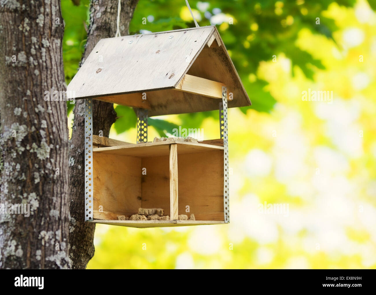Bird feeders tree hires stock photography and images Alamy