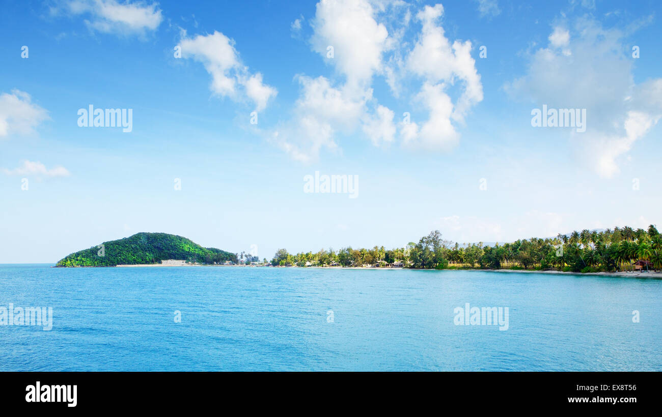 Tropical beach jungle in hi-res stock photography and images - Alamy