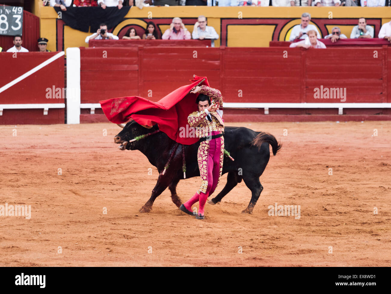 Bullfighting. Algeciras bull ring. Cadiz, Andalusia, Spain. Stock Photo