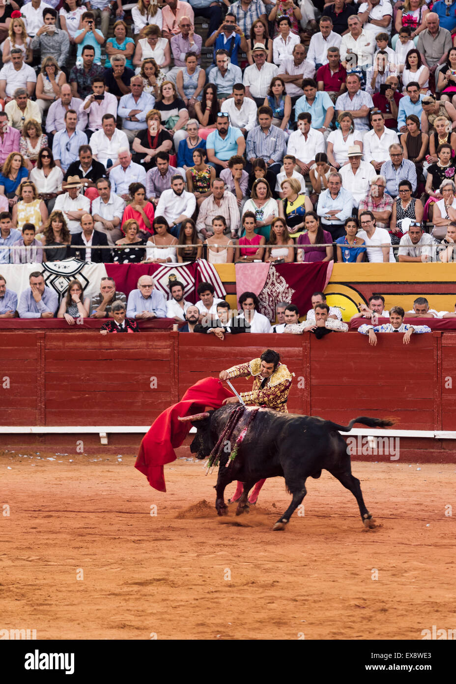 Bullfighting. Algeciras bull ring. Cadiz, Andalusia, Spain. Stock Photo