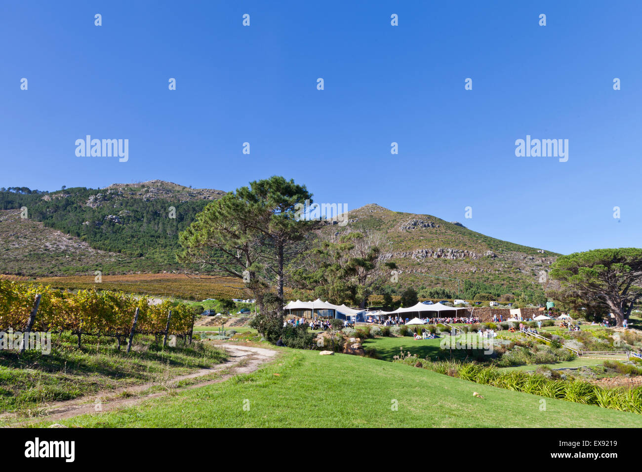 Steenburg Winery Noordhoek near Cape Town South Africa Stock Photo Alamy