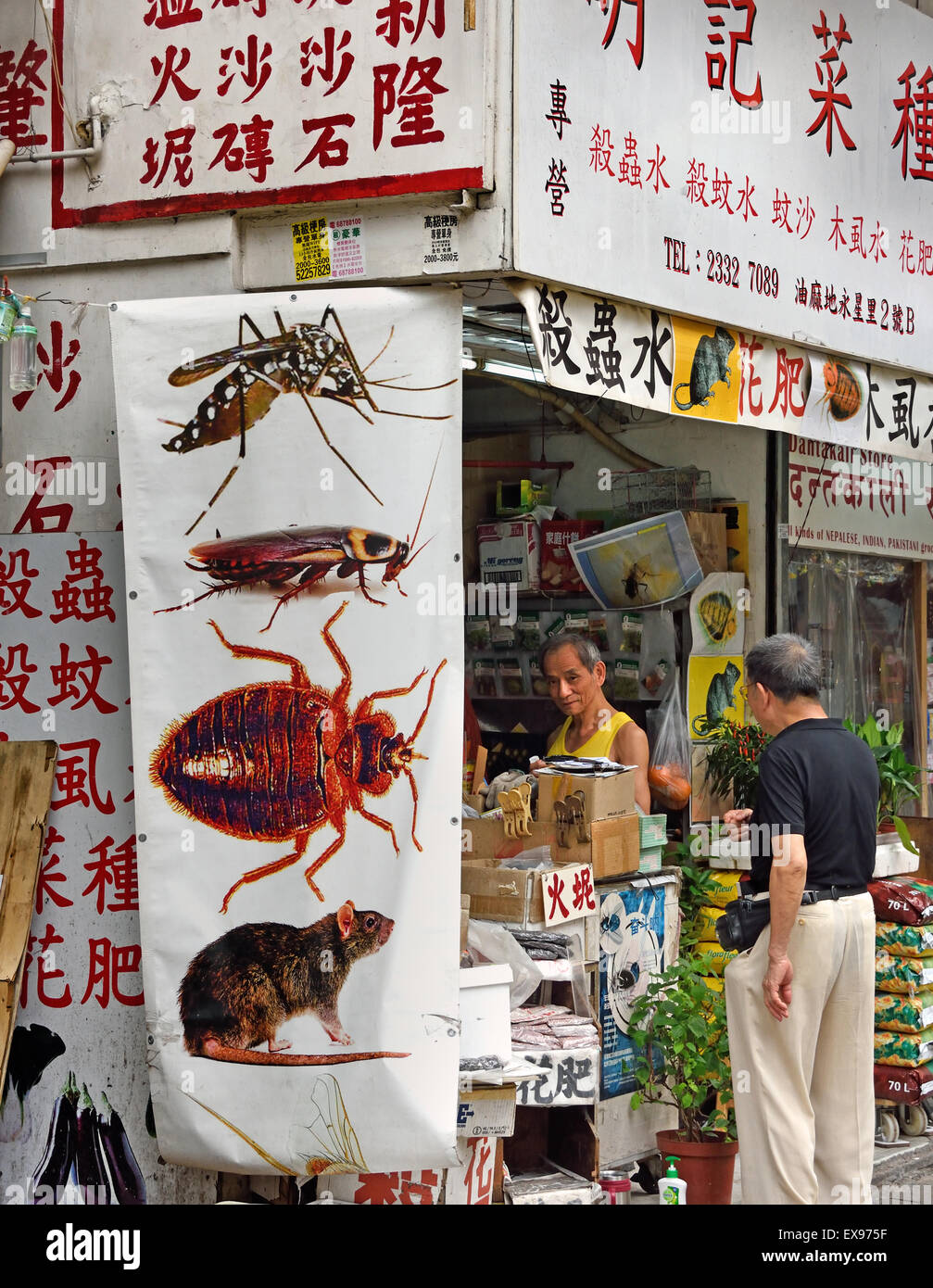 Shanghai China insecticide rat pest control shop Stock Photo - Alamy