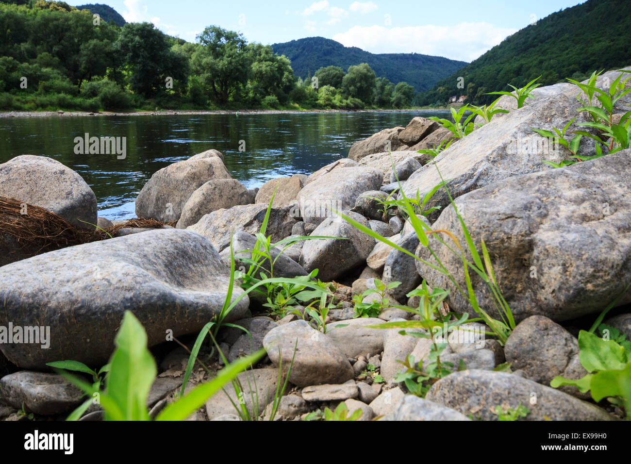 Near the Decin castle was held meeting and press conference about project of building weir on the River Elbe, Decin, Czech Republic, July 9, 2015. (CTK Photo/Ondrej Hajek) Stock Photo