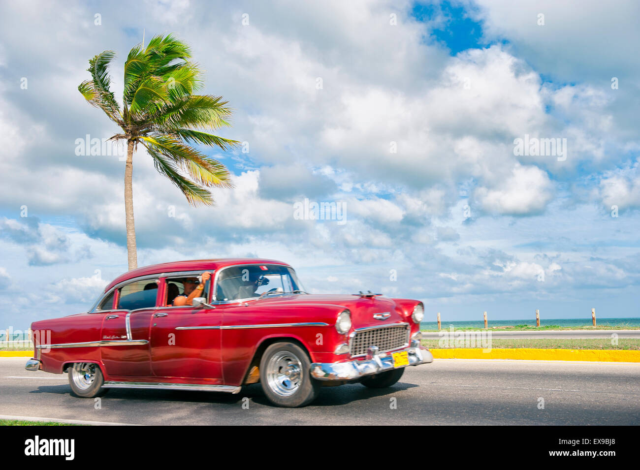 VARADERO, CUBA - JUNE 07, 2011: Brightly painted classic vintage American car drives along a coastal road next to a palm tree. Stock Photo