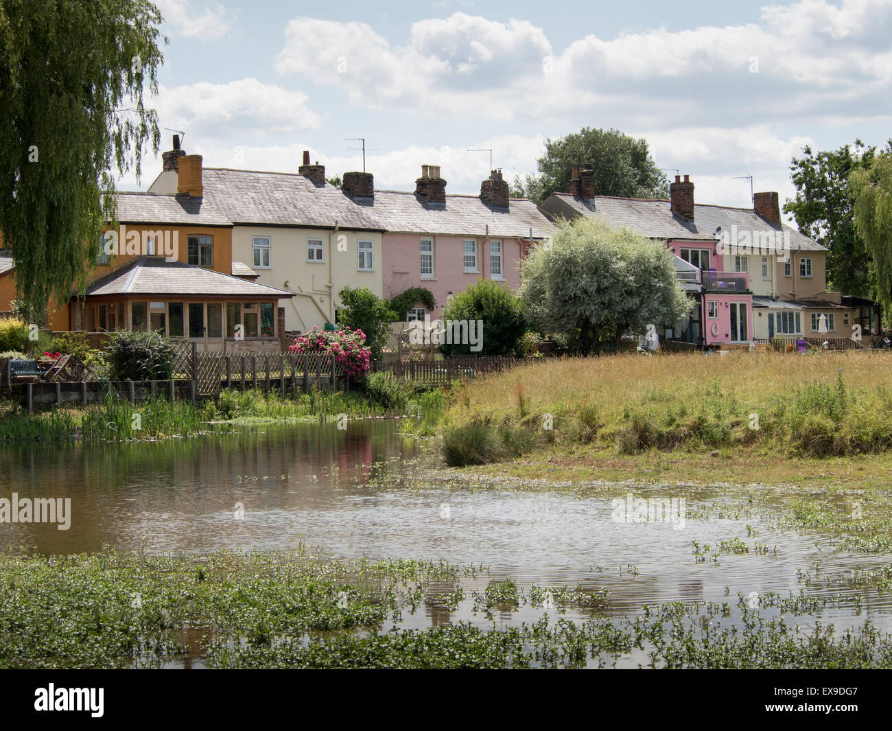 Old houses backing onto the water meadows at Sudbury, Suffolk, England