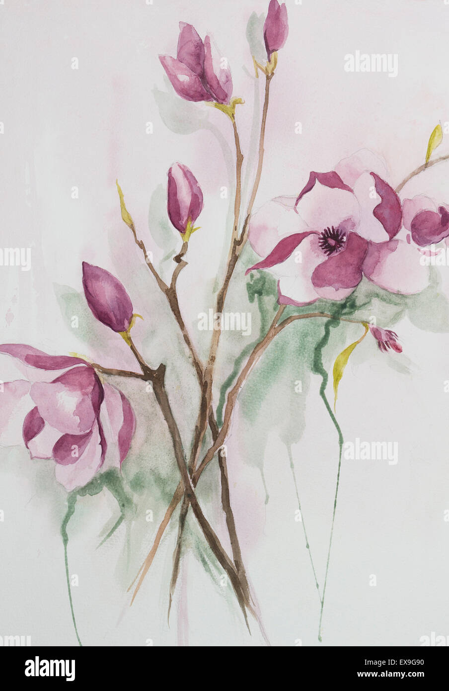 Original watercolour, magnolia flowers. Stock Photo