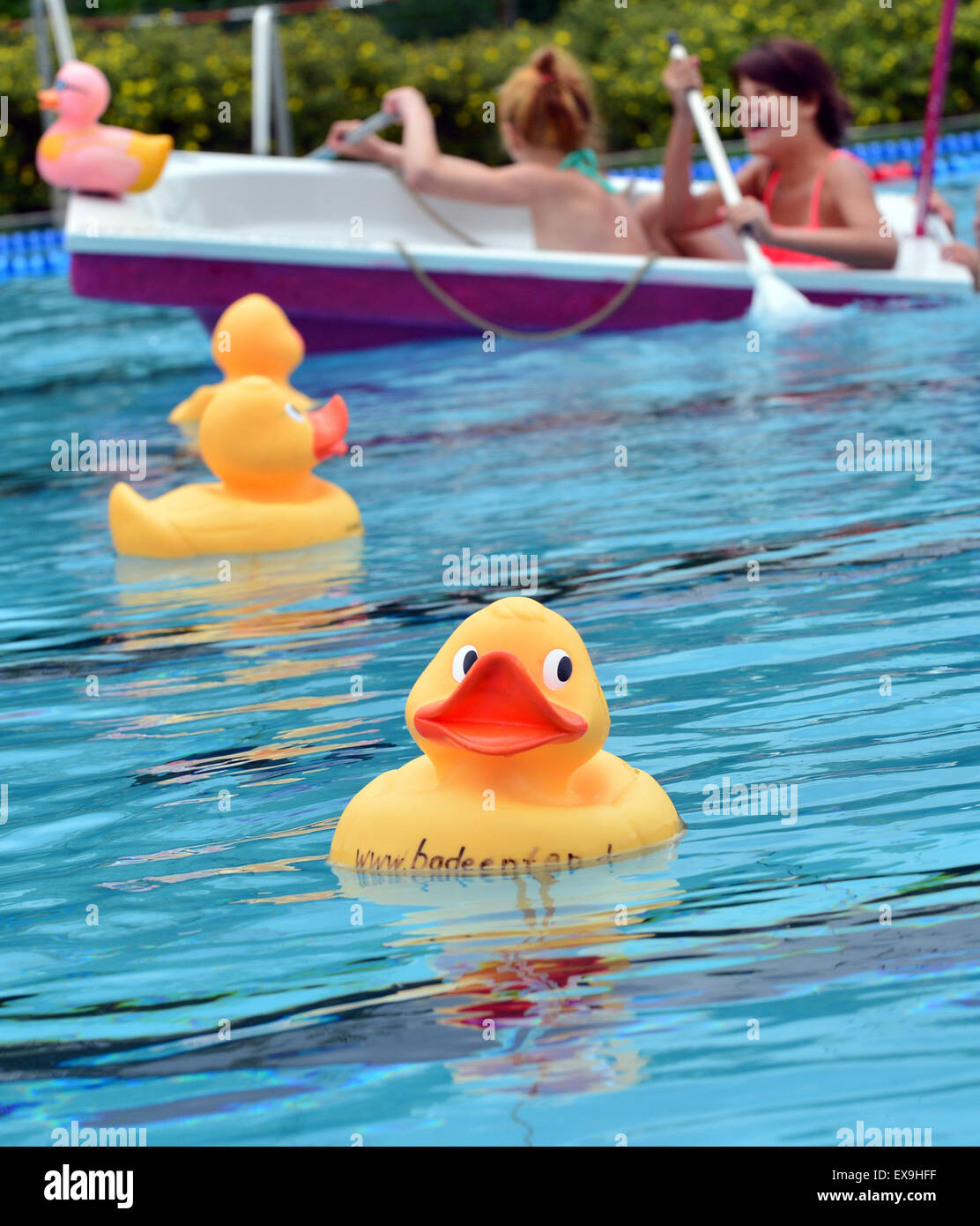 rubber ducks for swimming pools
