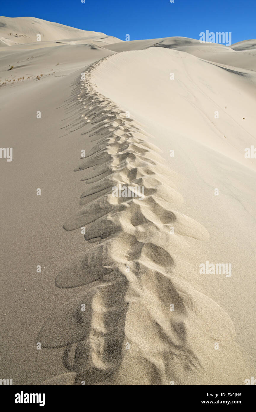 footprints up the ridge of a sand dune Stock Photo