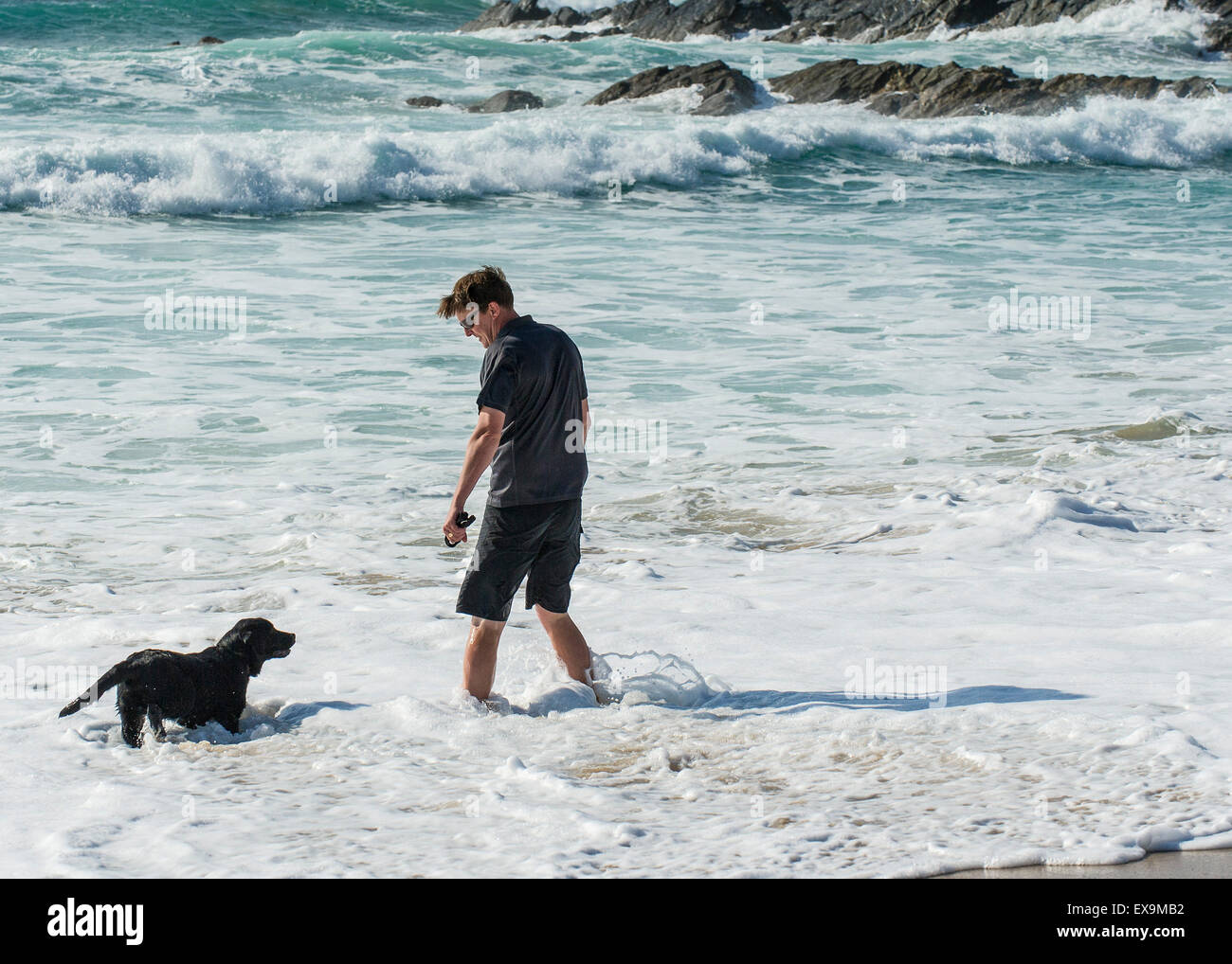 A man walking his dog through the sea at Fistral beach in Newquay, Cornwall. Stock Photo