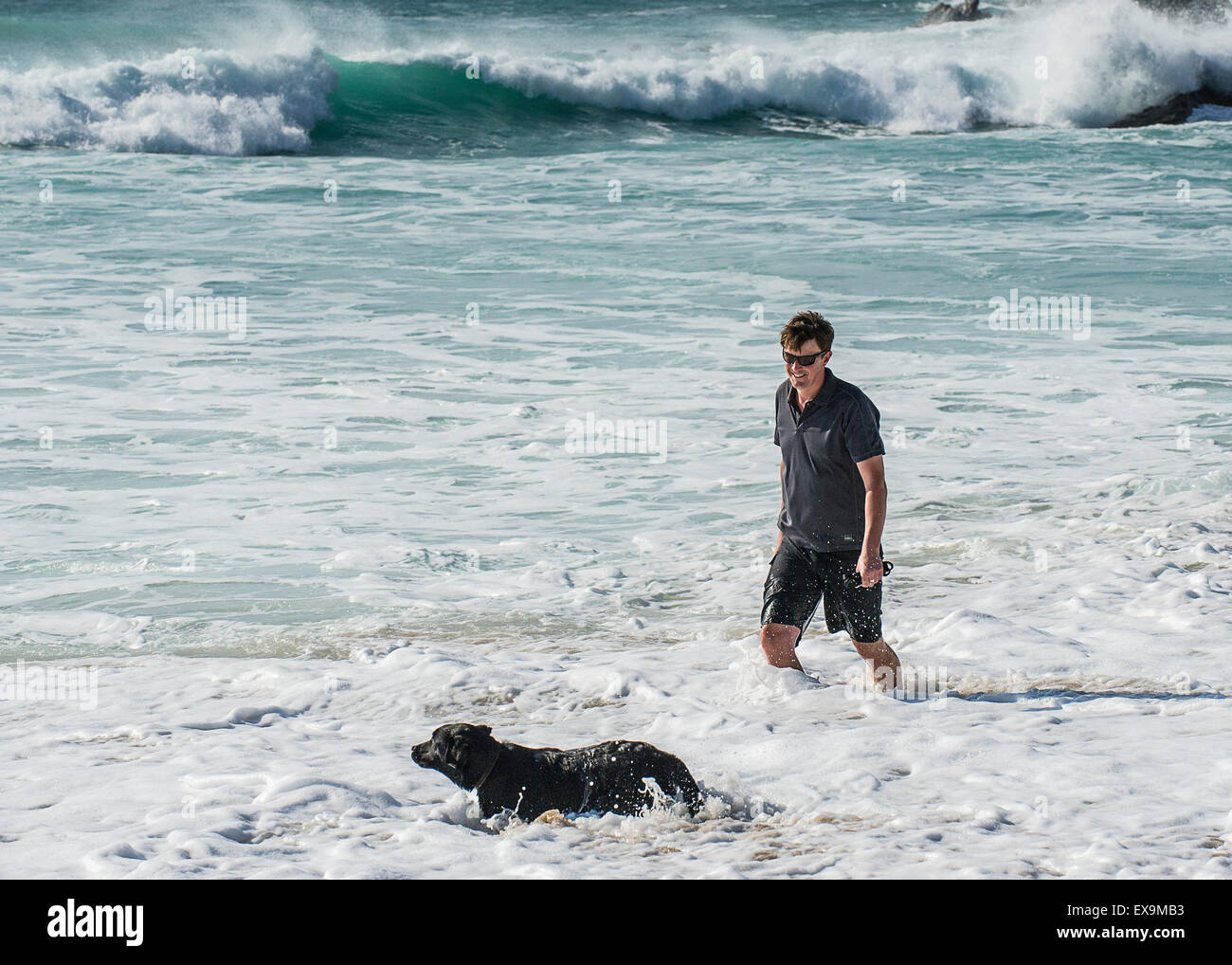 A man walking his dog through the sea at Fistral beach in Newquay, Cornwall. Stock Photo