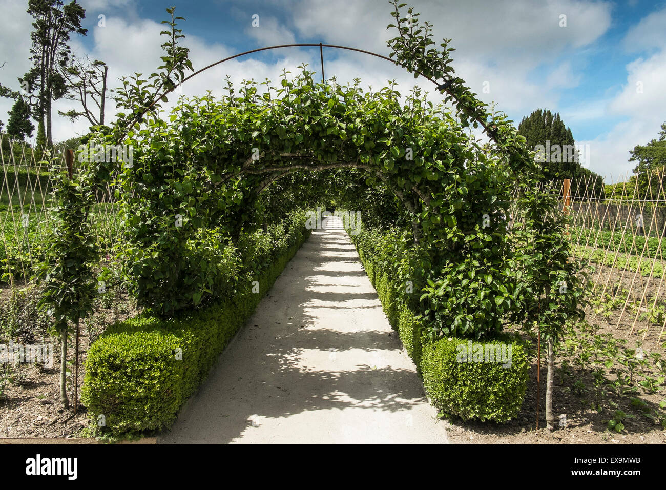 An ornamental covered walkway in the Vegetable Garden in the Lost Gardens of Heligan in Cornwall. Stock Photo