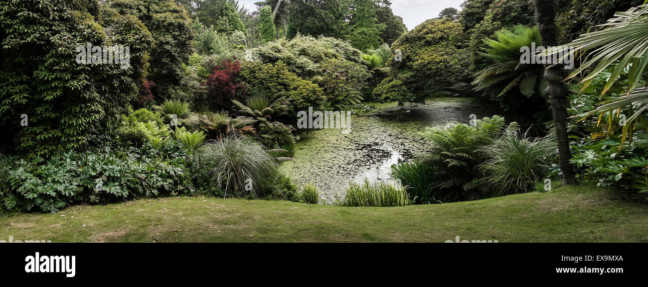 A pond in the Lost Gardens of Heligan in Cornwall. Stock Photo