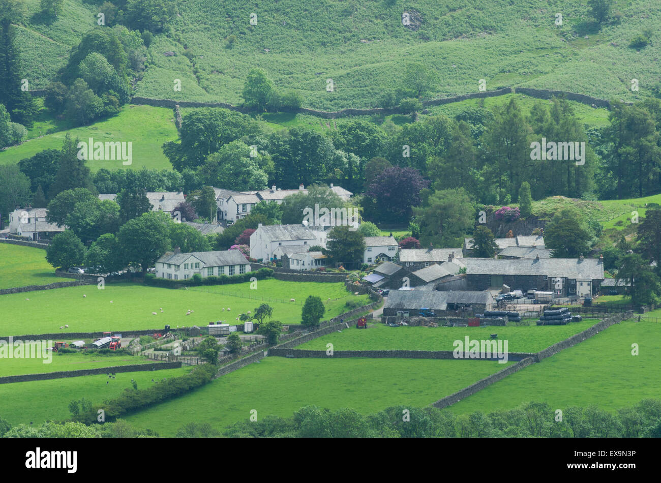 Rosthwaite Village, Borrowdale, Lake District National Park, Cumbria, England, UK in Summer Stock Photo