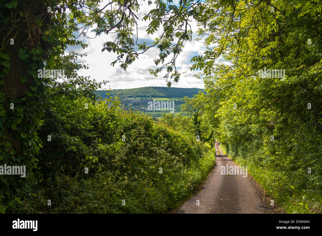 Countryside rural lane road in Somerset, England, UK Stock Photo