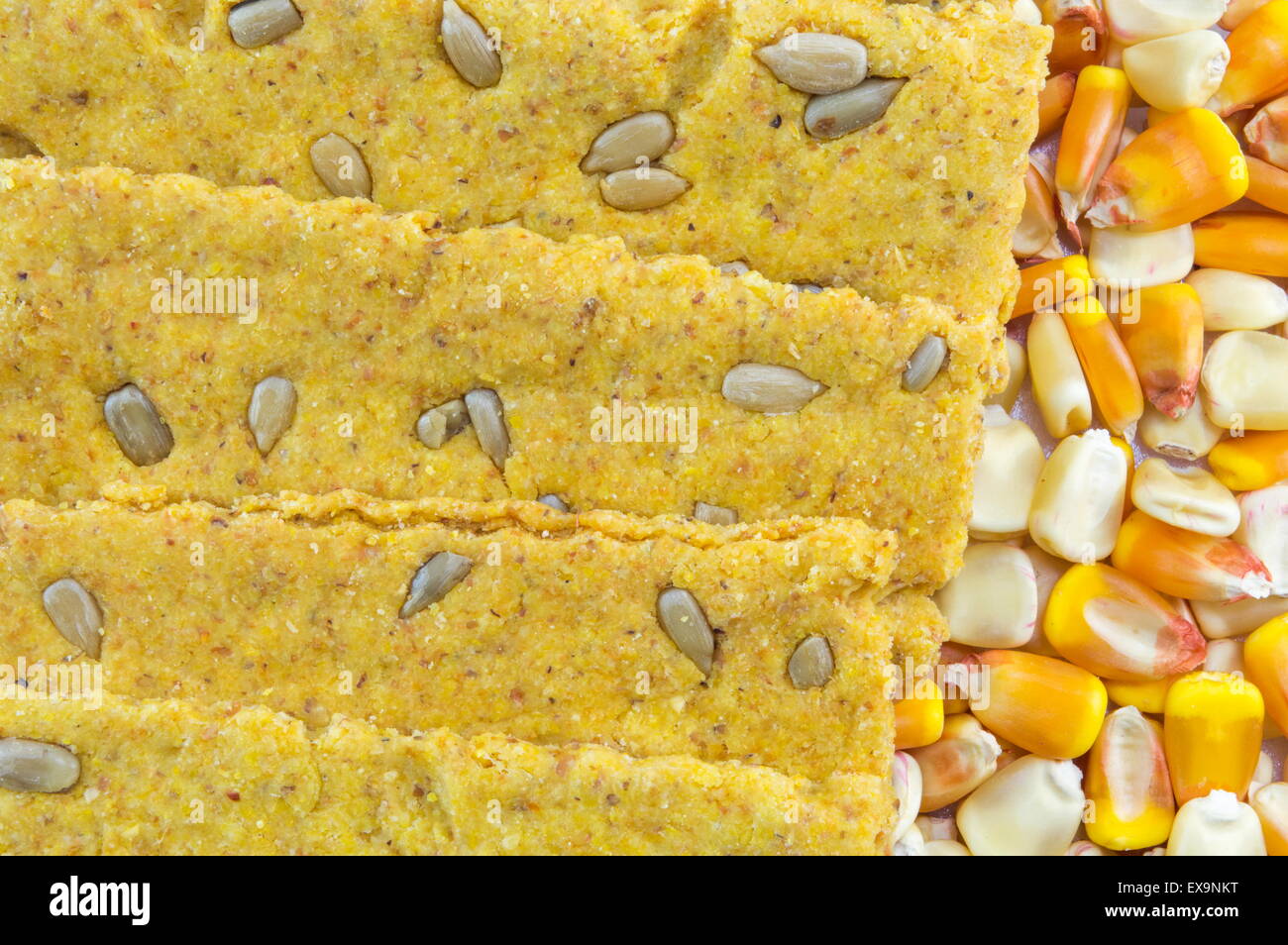 Crunchy oat thins with sunflower surrounded with dried corn grains Stock Photo