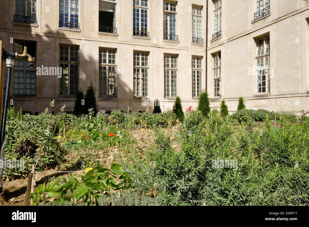 Le jardin des Rosiers, Joseph Migneret garden, hidden gardens, courtyards in the Marais, Paris, France. Stock Photo