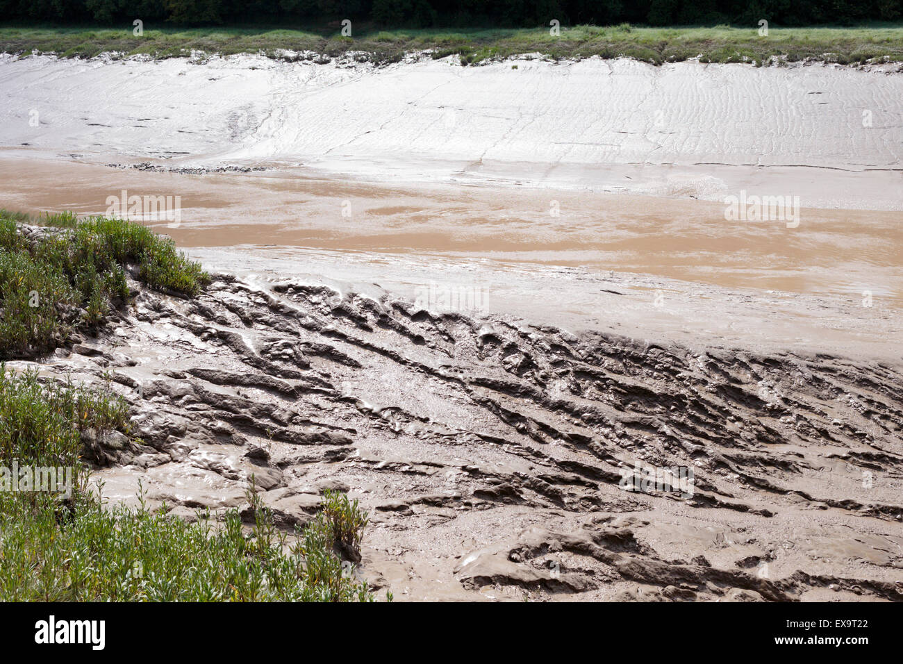 Low tide, mud flats reeds and woods on the River Avon at Sea Mills in Bristol Stock Photo Alamy