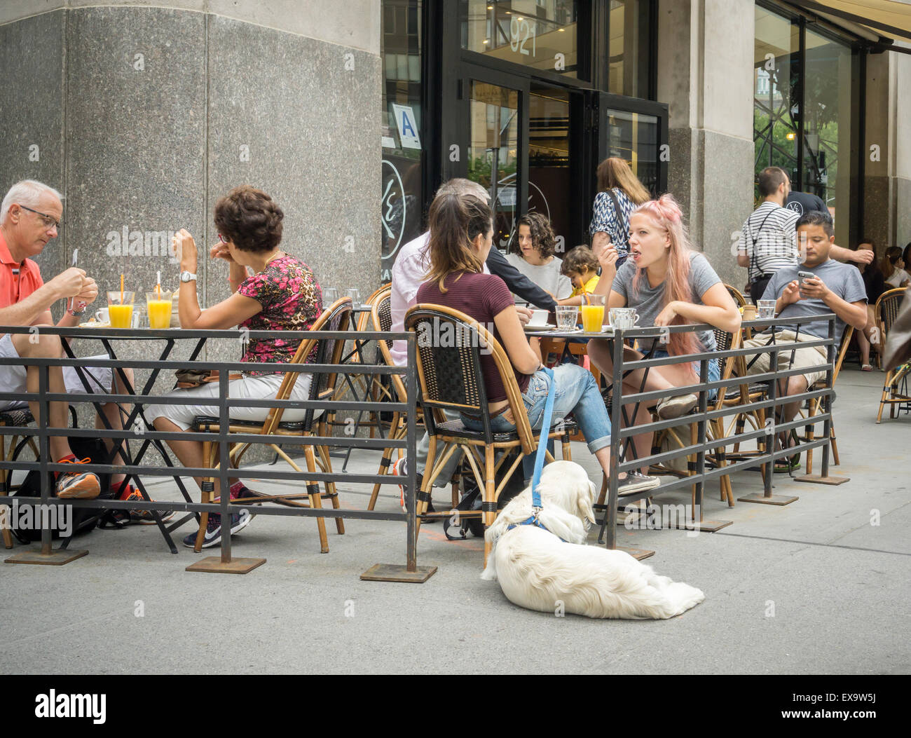 A dog patiently waits outside while its owner eats in an outdoor cafe in New York on Saturday, July 4, 2015. The NYS legislature has passed a bill allowing restaurants to permit dogs (with their owners) in the seating areas of outdoor cafes. The dogs must be on leashes and the restaurant has the final say whether or not it wishes to admit dogs. (© Richard B. Levine) Stock Photo
