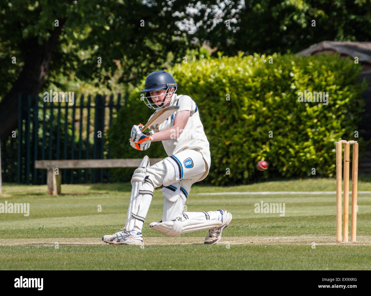 A teenage batsman plays a shot whilst batting during a school cricket match. He is wearing full cricket gear and is one knee hitting the cricket ball Stock Photo