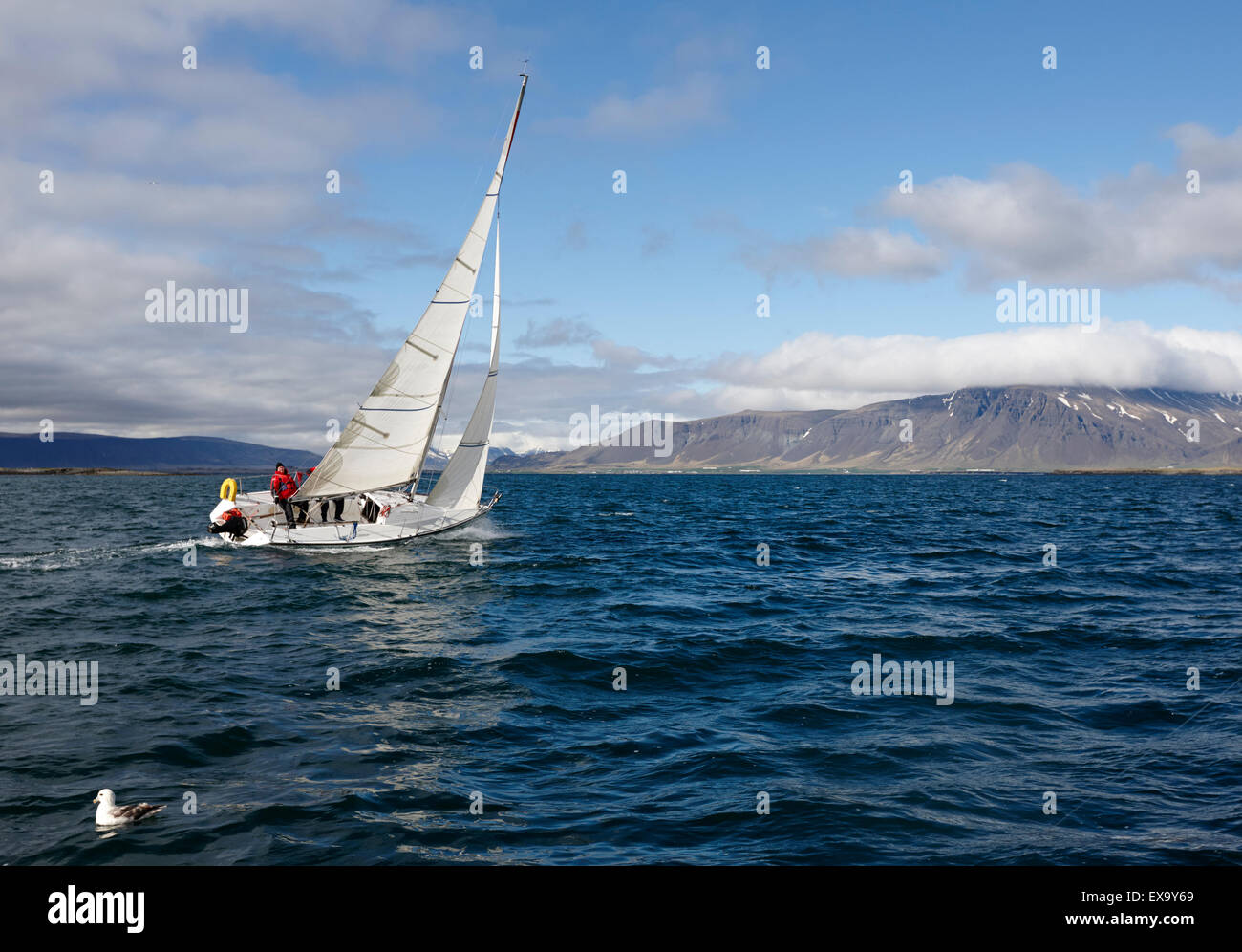 yacht sailing over faxafloi faxa bay from reykjavik iceland Stock Photo