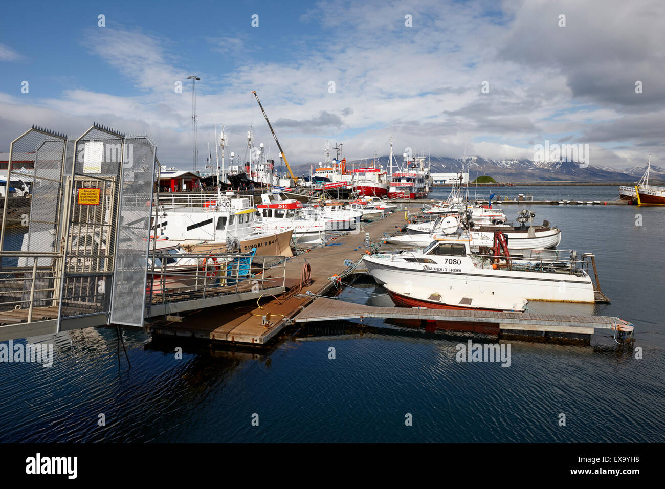small local boats in working marina and floating pontoons reykjavik harbour iceland Stock Photo