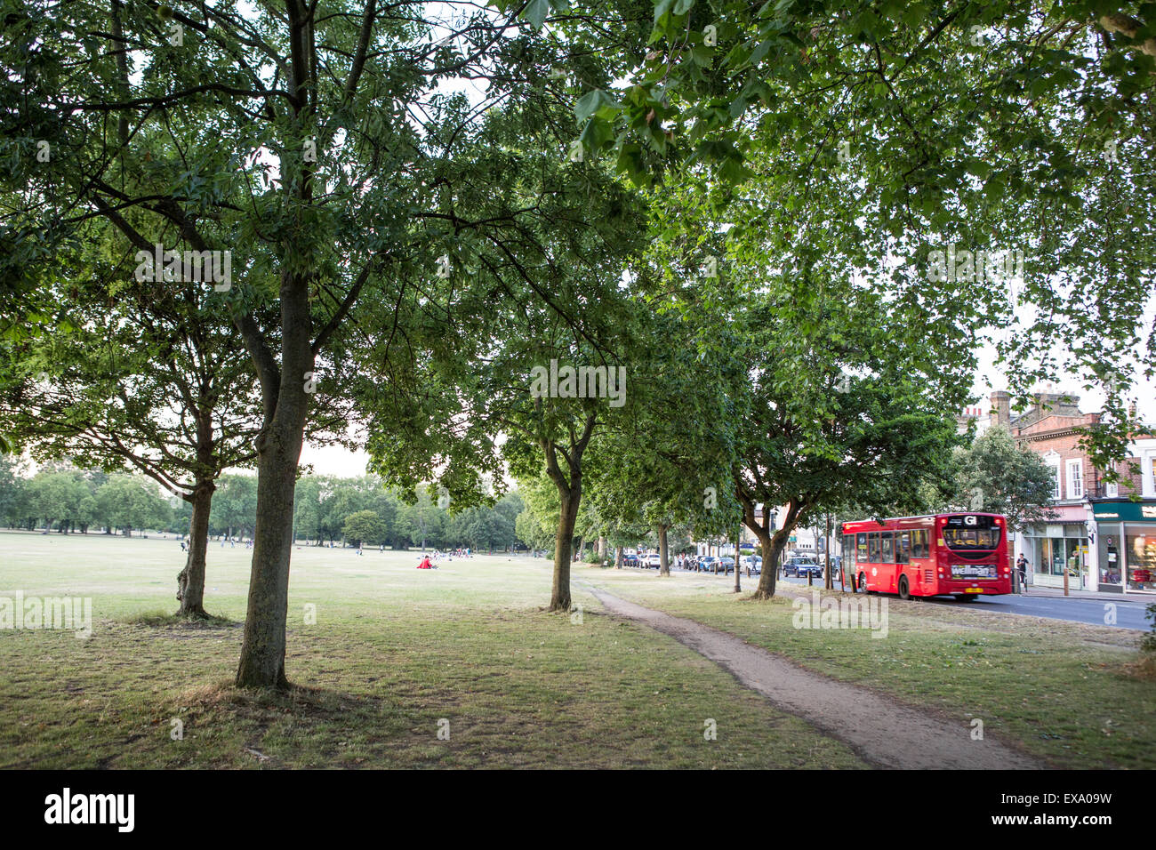 Wandsworth Common London UK Stock Photo Alamy