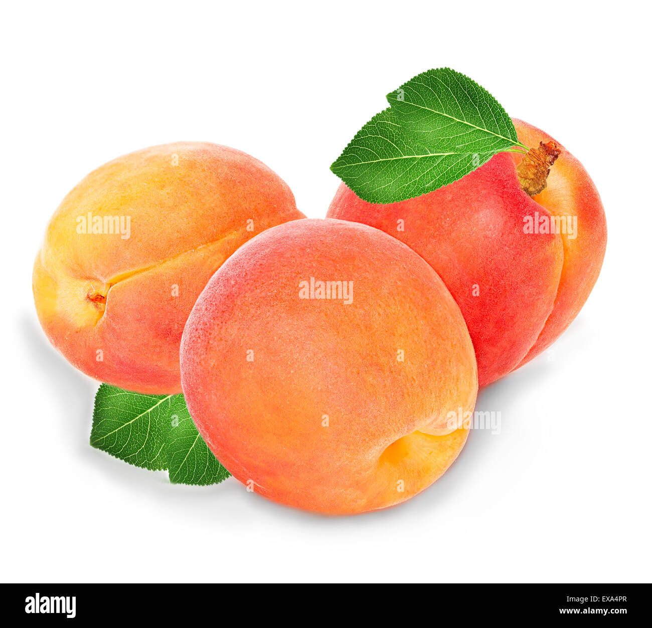 Apricots isolated on a white background Stock Photo - Alamy