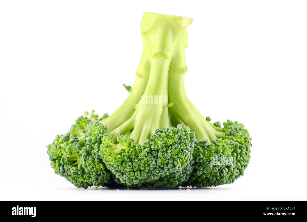 Fresh raw broccoli isolated on white background Stock Photo
