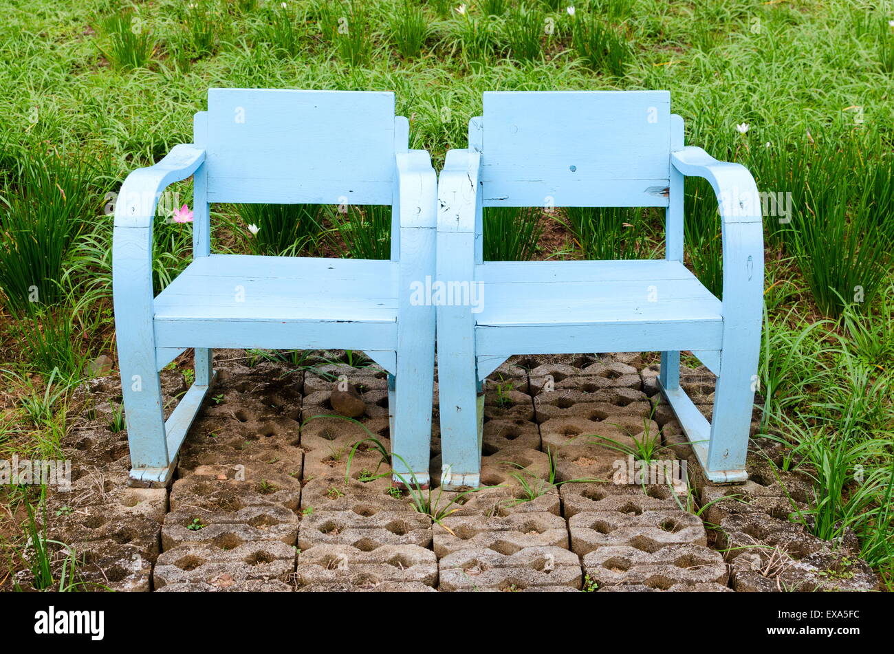Blue wooden lawn chairs in the spring garden. Stock Photo