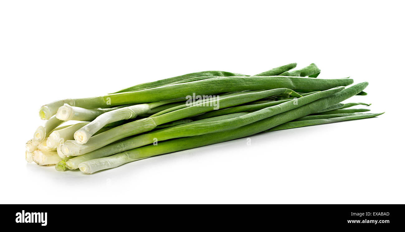 Green Onion on white background Stock Photo - Alamy