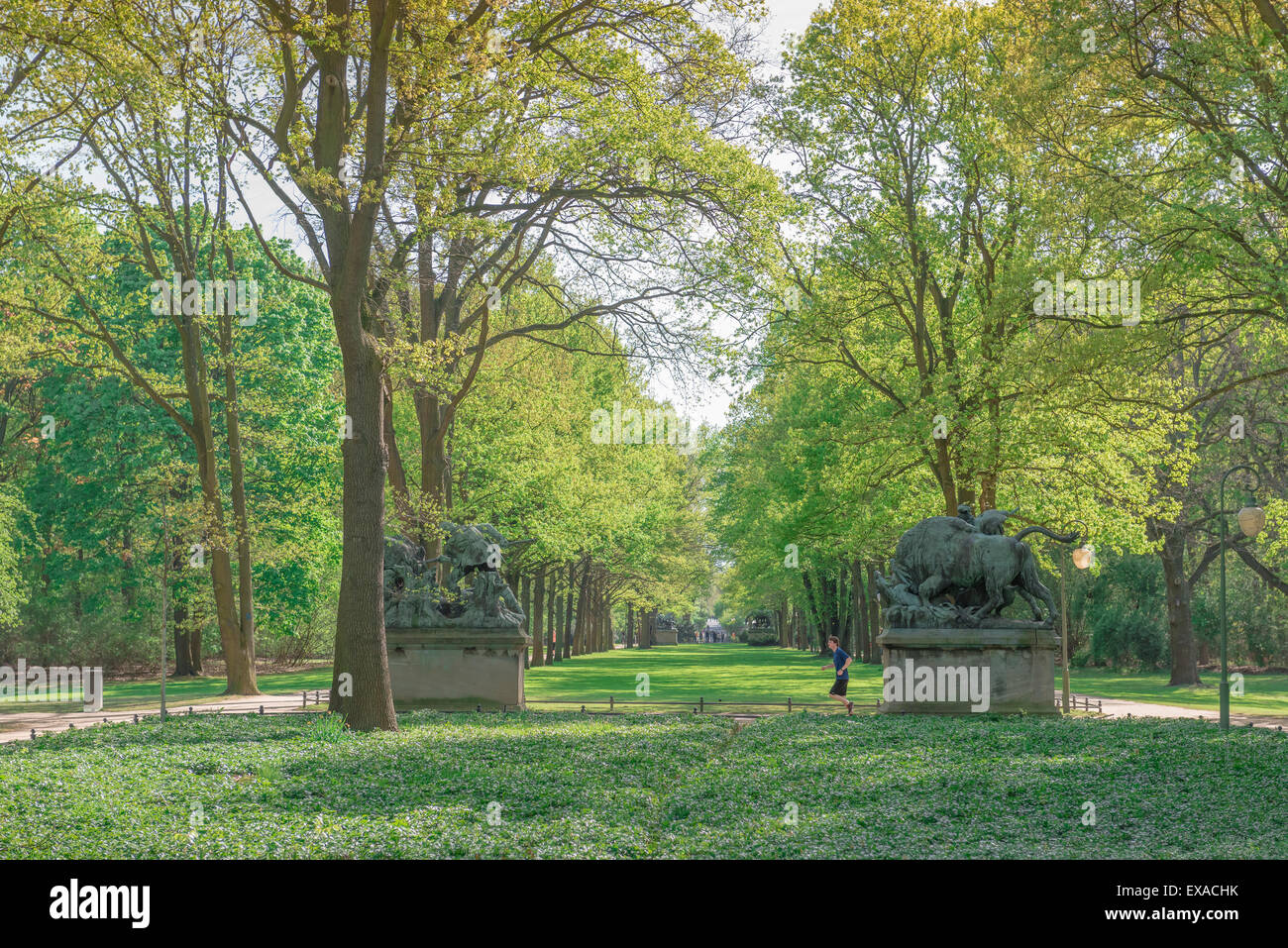 Berlin park, view of a young man jogging through the Tiergarten park in Berlin on a late spring evening, Germany. Stock Photo
