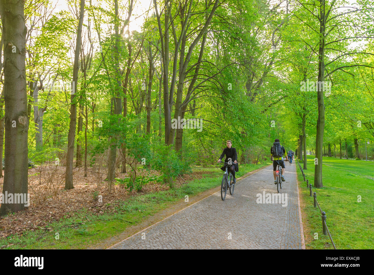 Berlin cycling park, view of cyclists in spring riding their bikes on one of the extensive cycle paths in the Tiergarten park, Berlin, Germany. Stock Photo