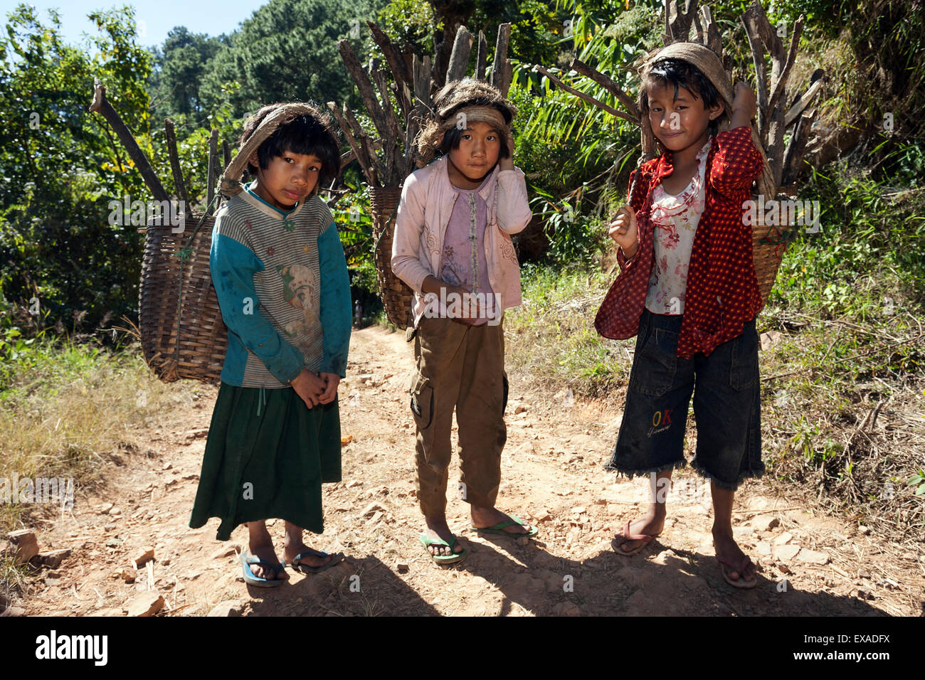 Girls from Palaung tribe carrying firewood, Taung Ni Village, Kalaw, Shan State, Myanmar Stock Photo