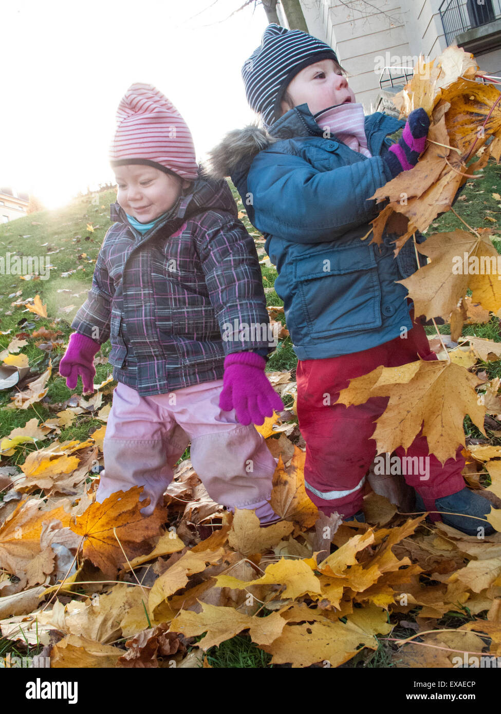 Two girls playing with leaves during autumn Stock Photo - Alamy