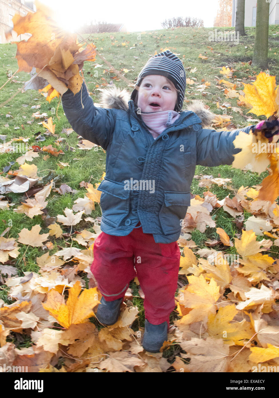 A girl playing with leaves during autumn Stock Photo - Alamy