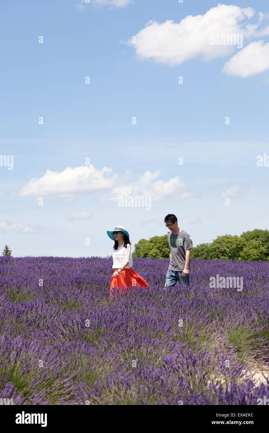 A young Chinese couple in a hybrid lavender field (Valensole - France). Jeune couple Chinois dans un champ de lavandin. Stock Photo