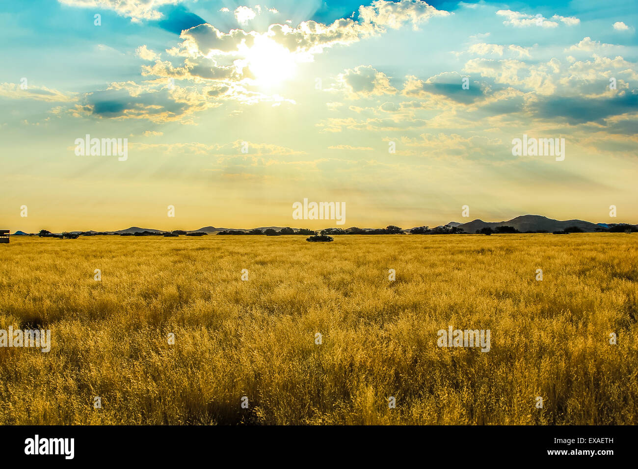 Cloudy sunset savannah hi-res stock photography and images - Alamy