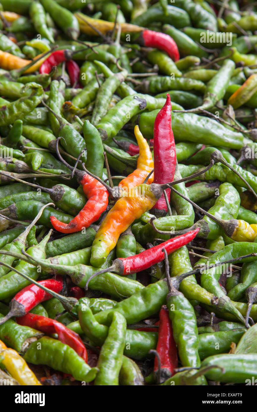 Hot peppers used as food in Indian cuisine considered one of the richest in the world of flavors and fragrances, Nepal Stock Photo