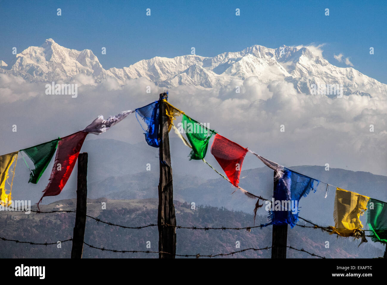 Colored prayer flags flutter in front of the majestic Kanchenjunga, Sandakphu, West Bengal, India Stock Photo