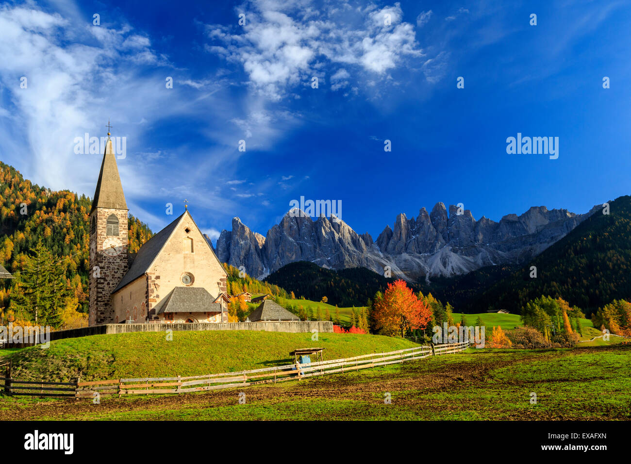 Church of St. Magdalena immersed in the colors of autumn, Val di Funes, South Tyrol, Italy Stock Photo