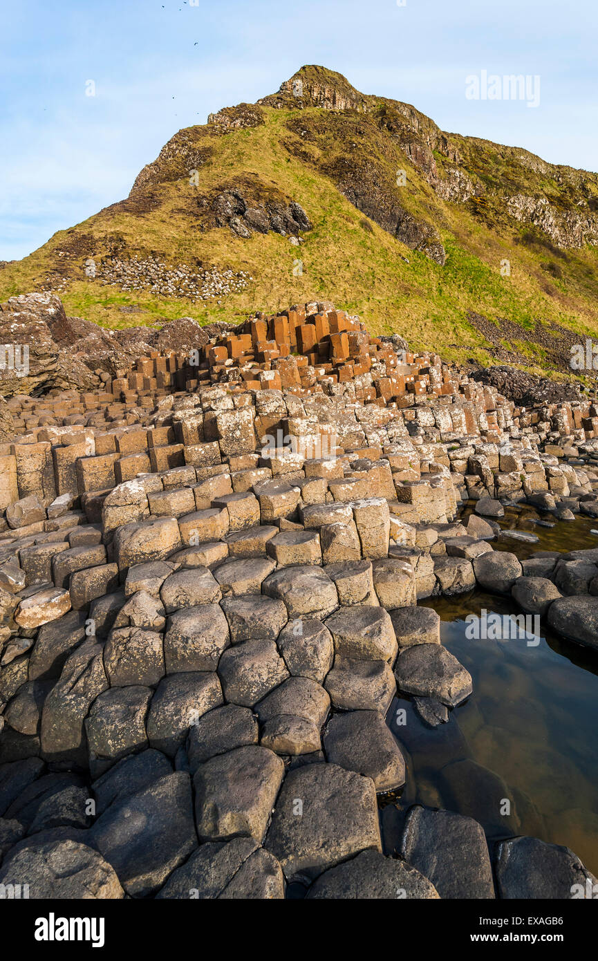 The Giants Causeway, UNESCO World Heritage Site, County Antrim, Ulster, Northern Ireland, United Kingdom, Europe Stock Photo