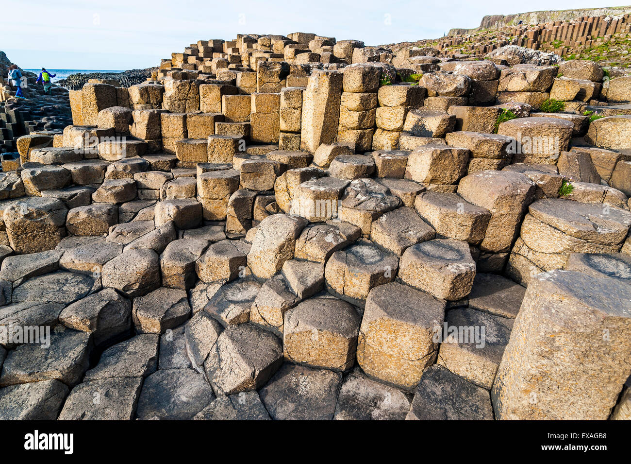 The Giants Causeway, UNESCO World Heritage Site, County Antrim, Ulster, Northern Ireland, United Kingdom, Europe Stock Photo