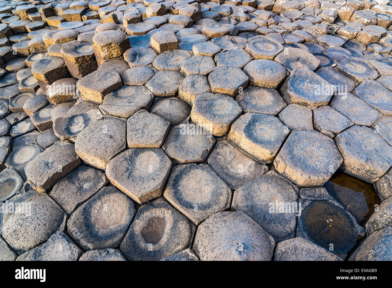 The Giants Causeway, UNESCO World Heritage Site, County Antrim, Ulster, Northern Ireland, United Kingdom, Europe Stock Photo