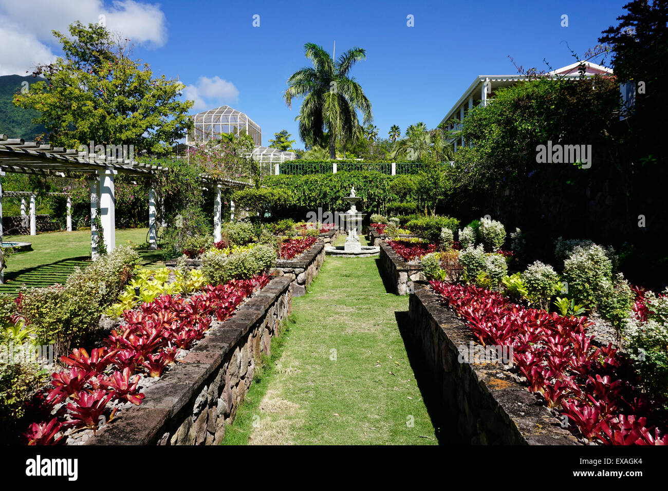 Nevis Botanical Garden, Nevis, St. Kitts and Nevis, Leeward Islands, West Indies, Caribbean, Central America Stock Photo
