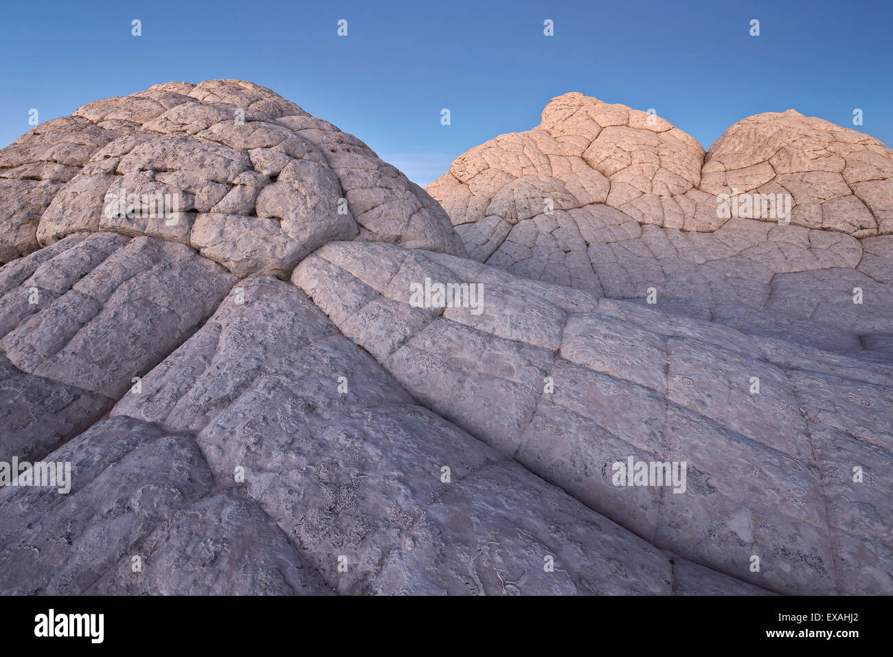 Brain Rock at dusk, White Pocket, Vermilion Cliffs National Monument, Arizona, United States of America, North America Stock Photo