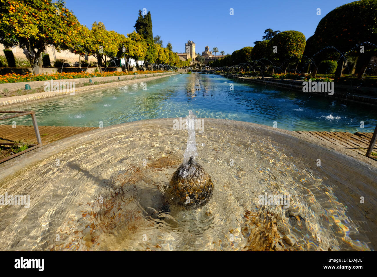 Fountain in the Alcazar de los Reyes Cristianos, UNESCO World Heritage Site, Cordoba, Andalucia, Spain, Europe Stock Photo
